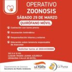 🐶 Operativo zoonosis: Atención veterinaria para las mascota de La Punta 🐶