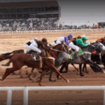 Son 15 las figuras del Clásico Aniversario Hipódromo La Punta