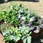 ‘Activa tu Huerta’ continúa con capacitaciones en toda la provincia