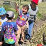 La ENI ‘Burbujitas’ participó en la cosecha de ajos