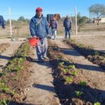 El programa ‘Activá tu Huerta’ pone en marcha la huerta comunitaria en el CAPS de Beazley
