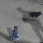 ¿A dónde está el bebé? policías de Córdoba encontraron a un menor gateando solo por las calles de Córdoba