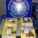 _*San Luis: la Policía puso al resguardo a dos perras pitbull que sufrían maltrato*_