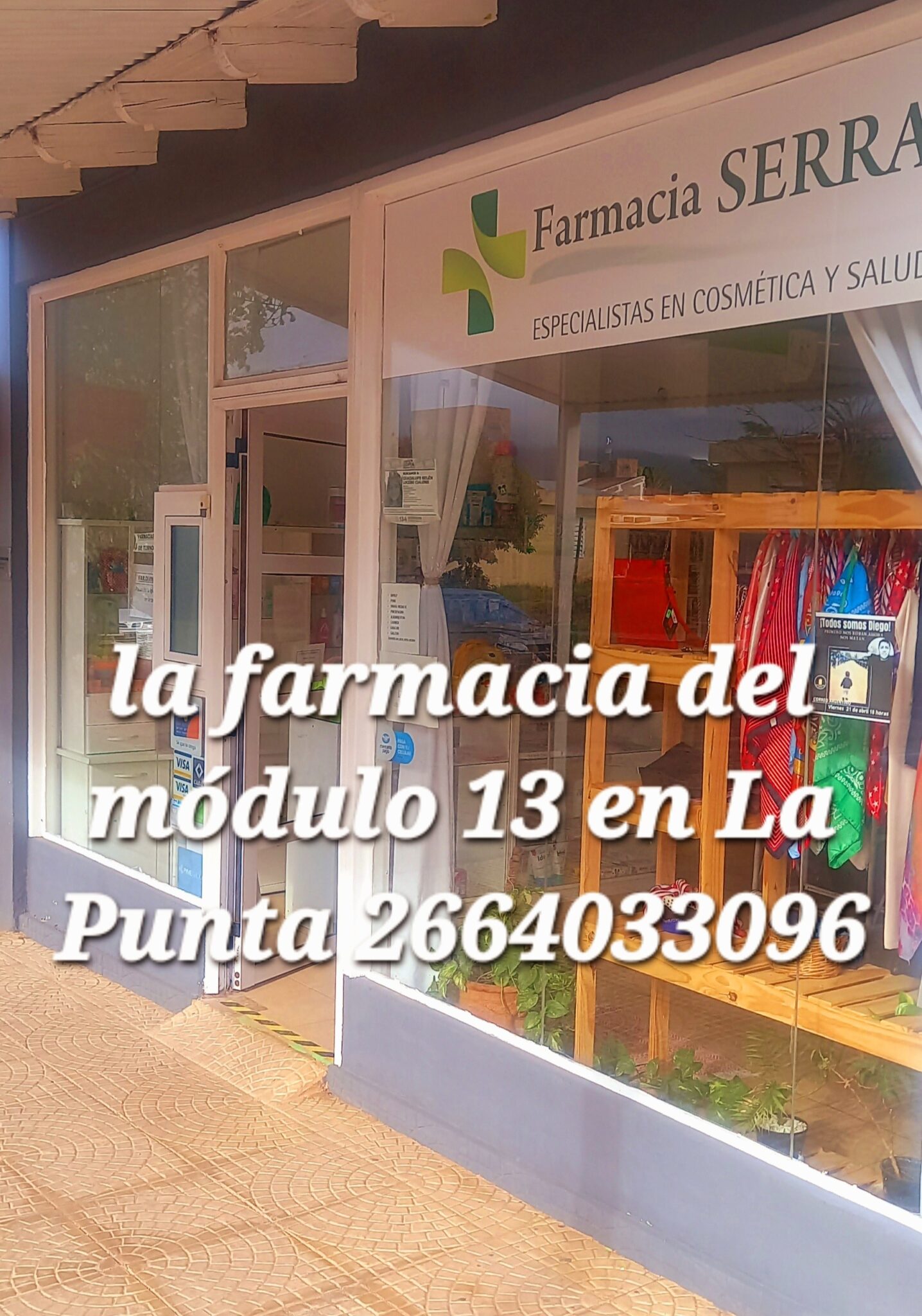 🟠OPERATIVO ZOONOSIS EN EL BARRIO 900 VIVIENDAS La Punta San Luis