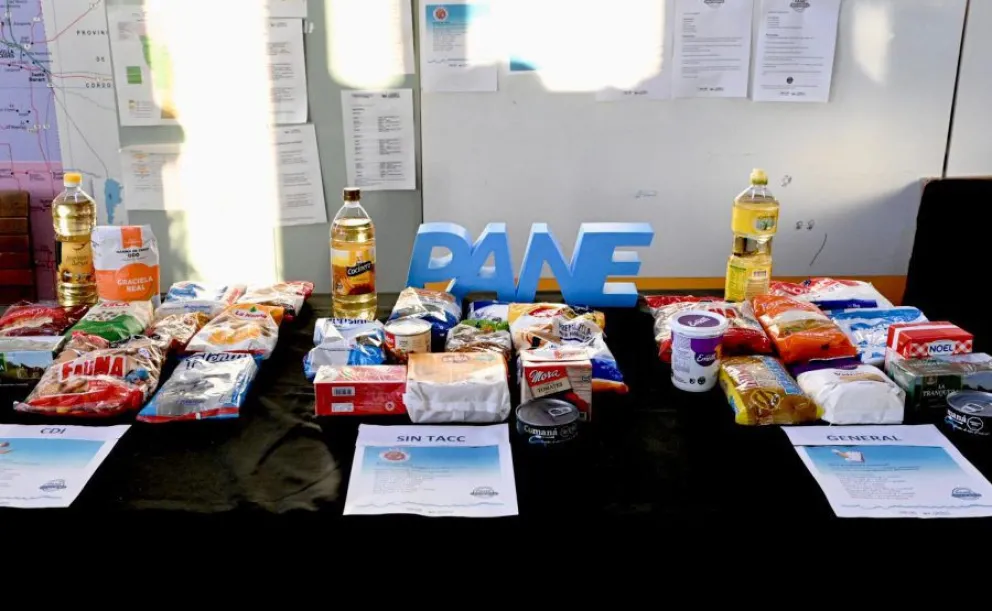 El PANE entregará bolsones alimentarios a más de 107 mil estudiantes durante las vacaciones de invierno