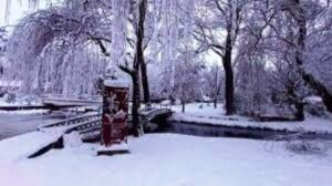 nieve